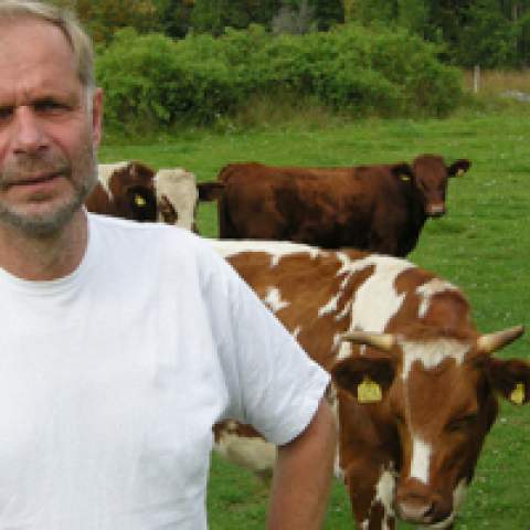 Hans Andersson